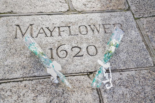 White roses laid on the memorial